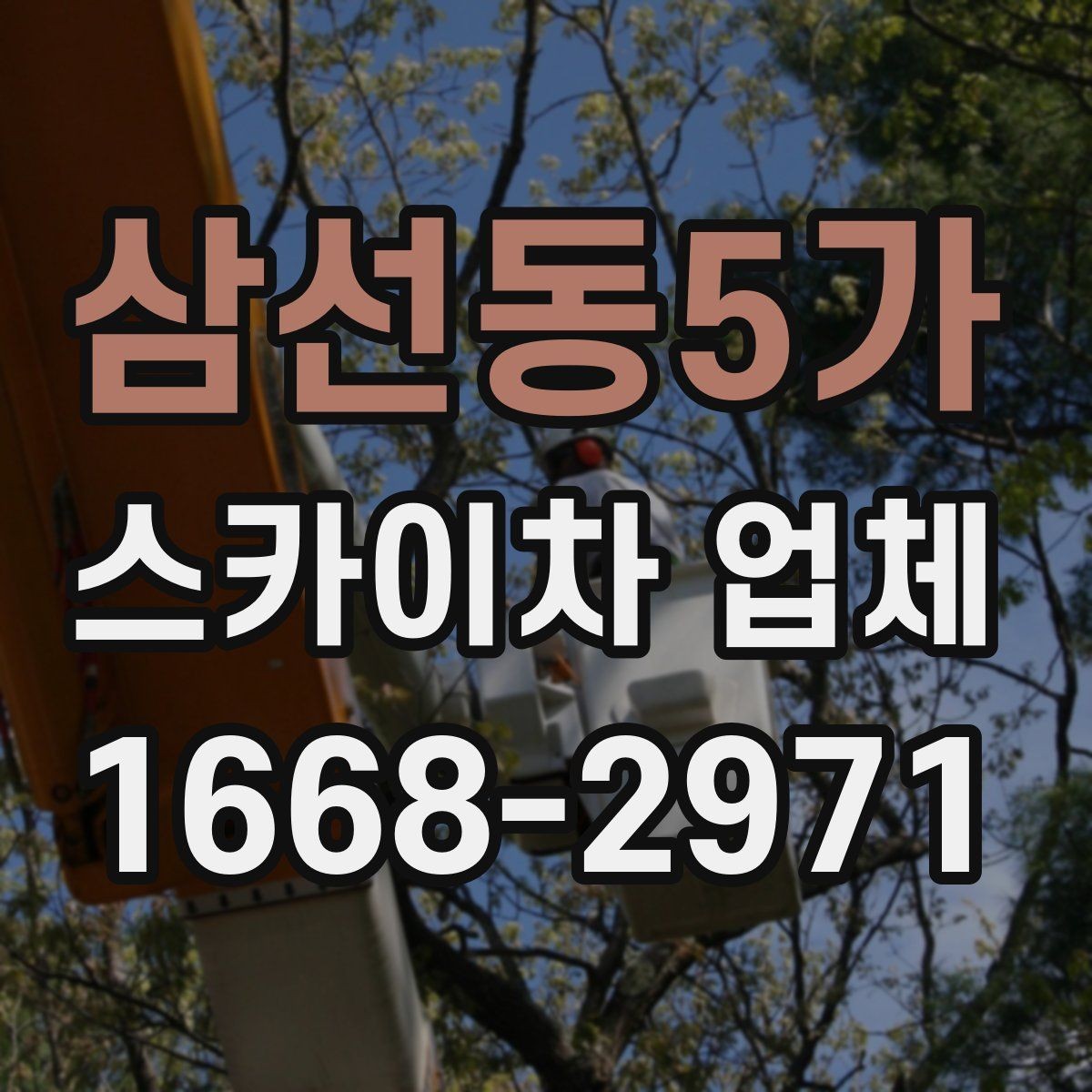 삼선동5가 스카이차 업체 비교 시 경험과 대응 속도 확인하기