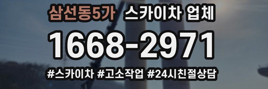 삼선동5가 스카이차 업체