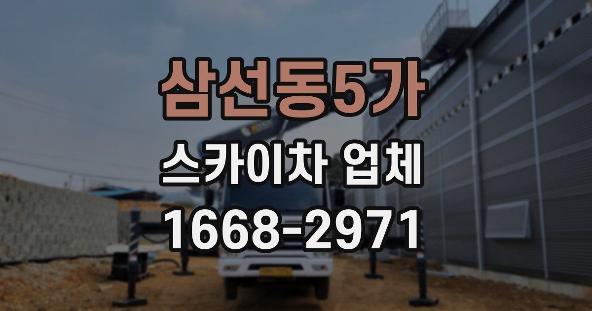 삼선동5가 스카이차 업체