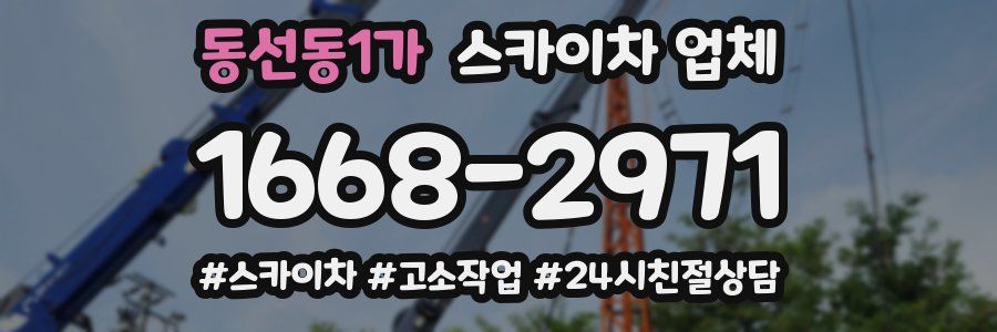 동선동1가 스카이차 업체