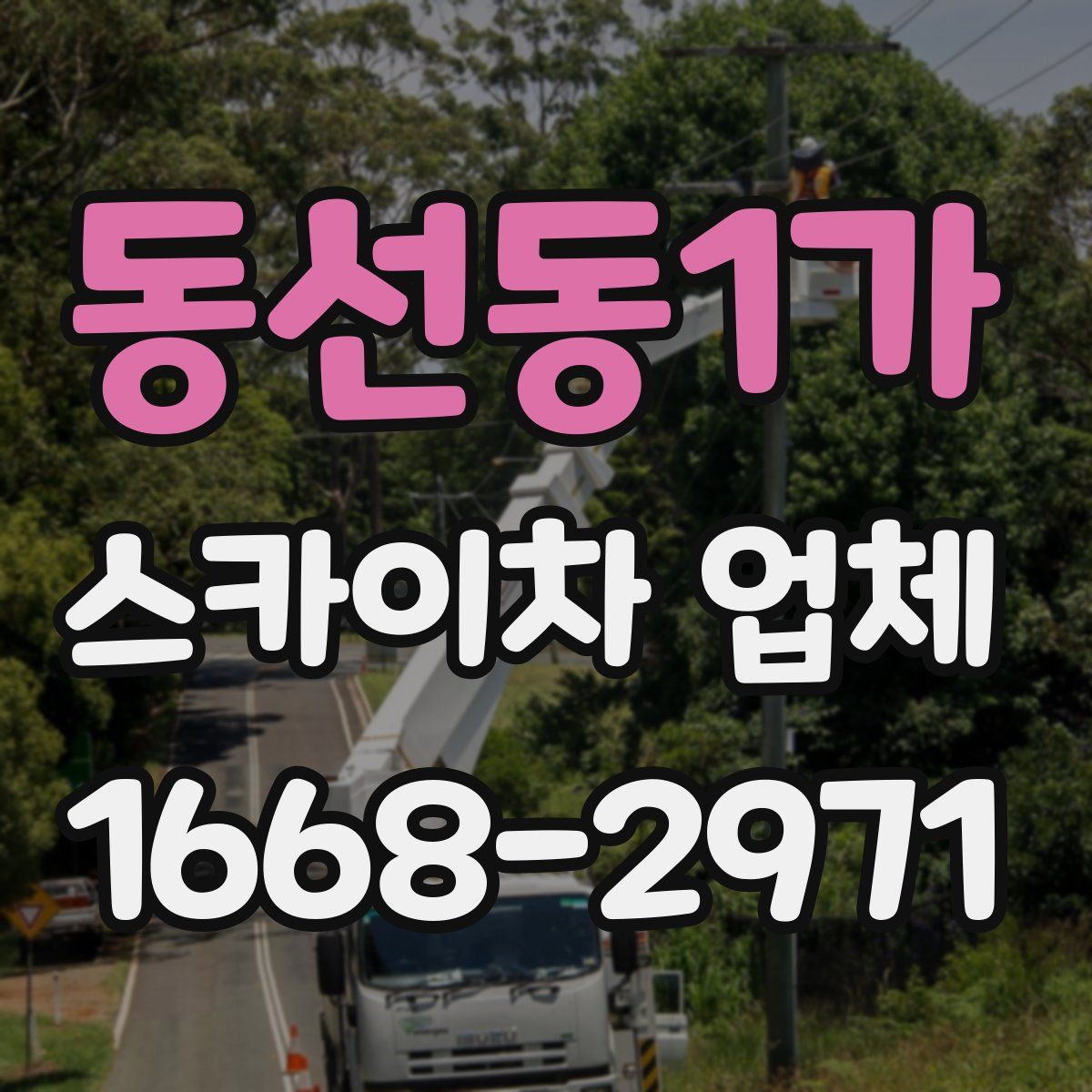 동선동1가 스카이차 업체