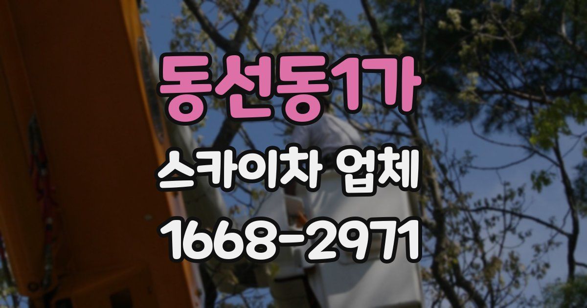 동선동1가 스카이차 업체