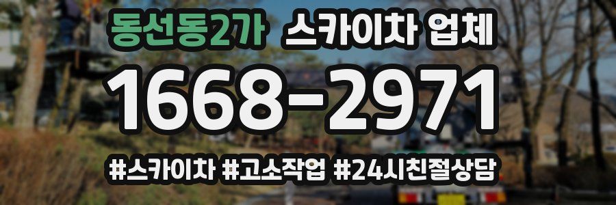 동선동2가 스카이차 업체
