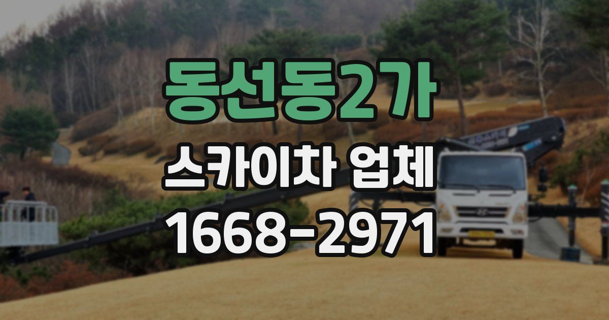 동선동2가 스카이차 업체