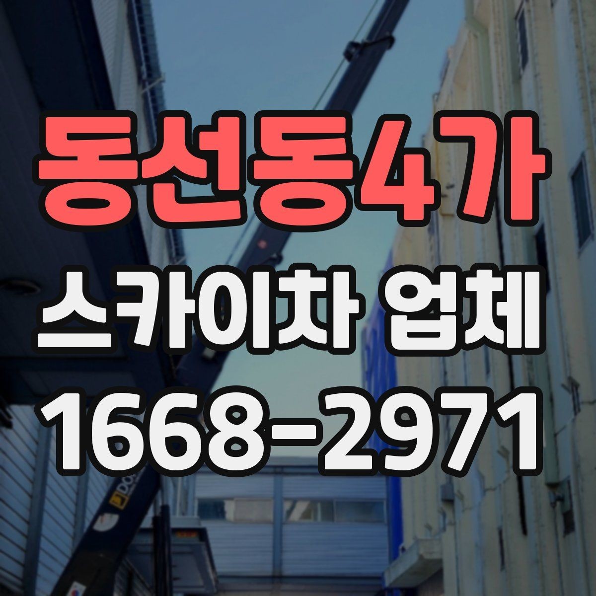 동선동4가 스카이차 업체 선택 시 후기보다 먼저 볼 점