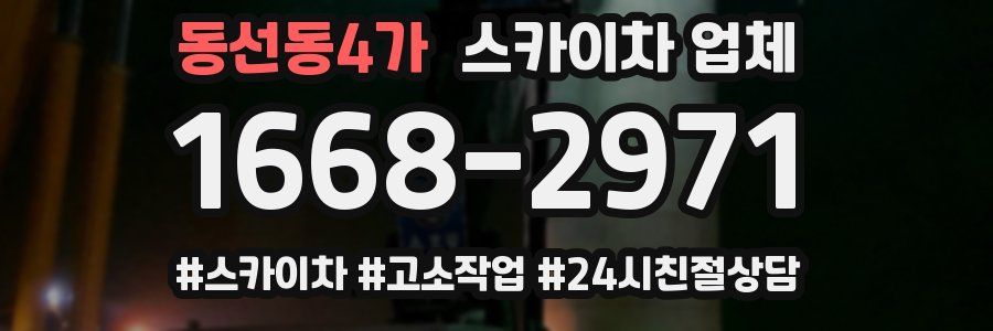 동선동4가 스카이차 업체