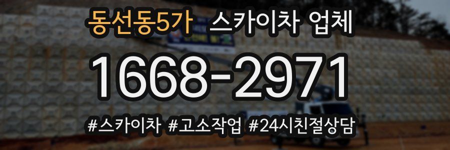 동선동5가 스카이차 업체