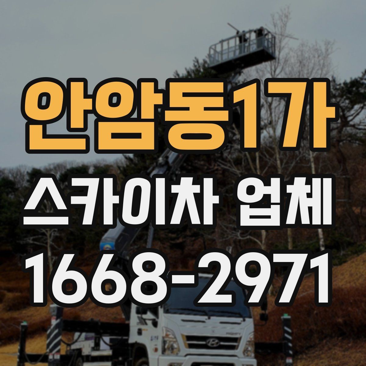 안암동1가 스카이차 업체 계약 전 꼭 살펴볼 항목