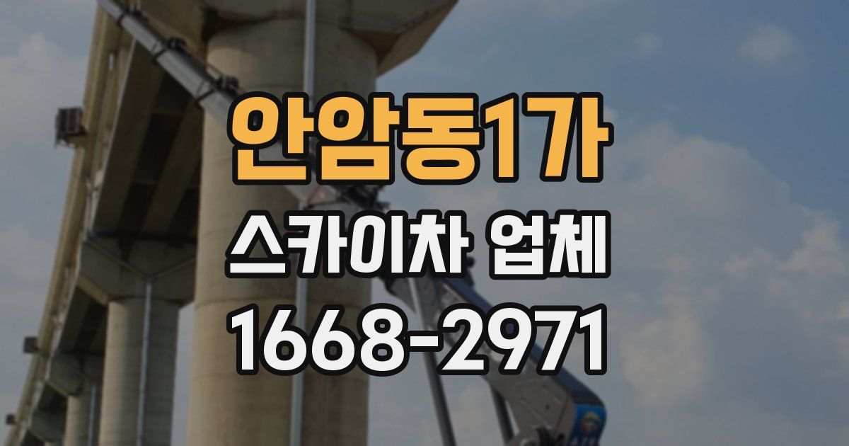 안암동1가 스카이차 업체