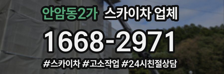 안암동2가 스카이차 업체