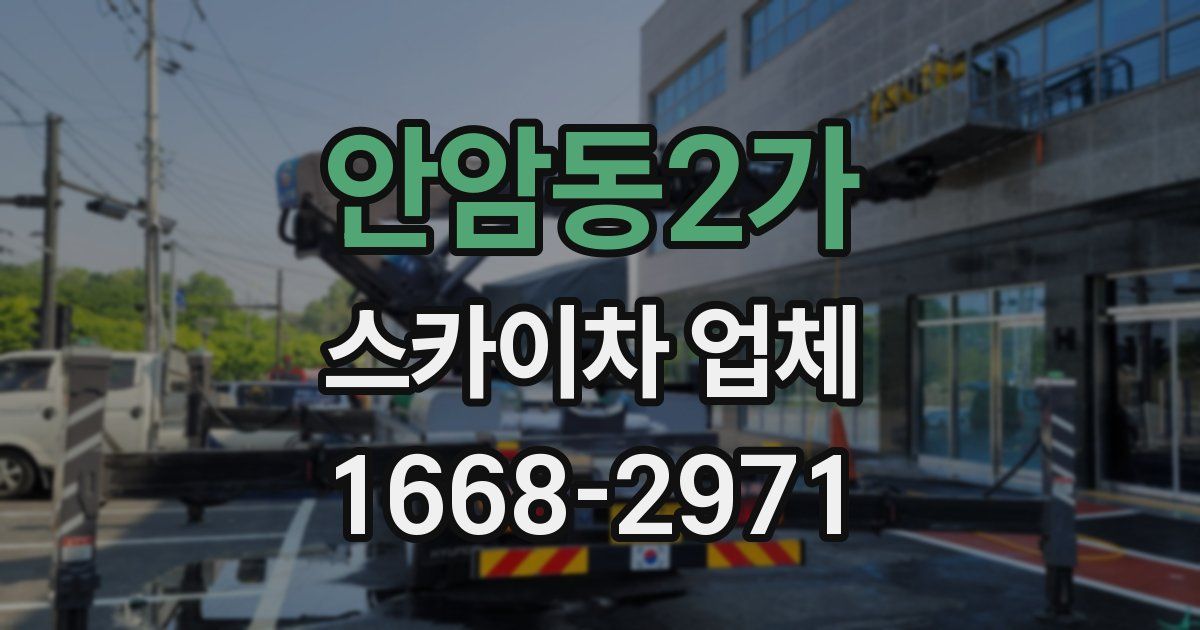 안암동2가 스카이차 업체