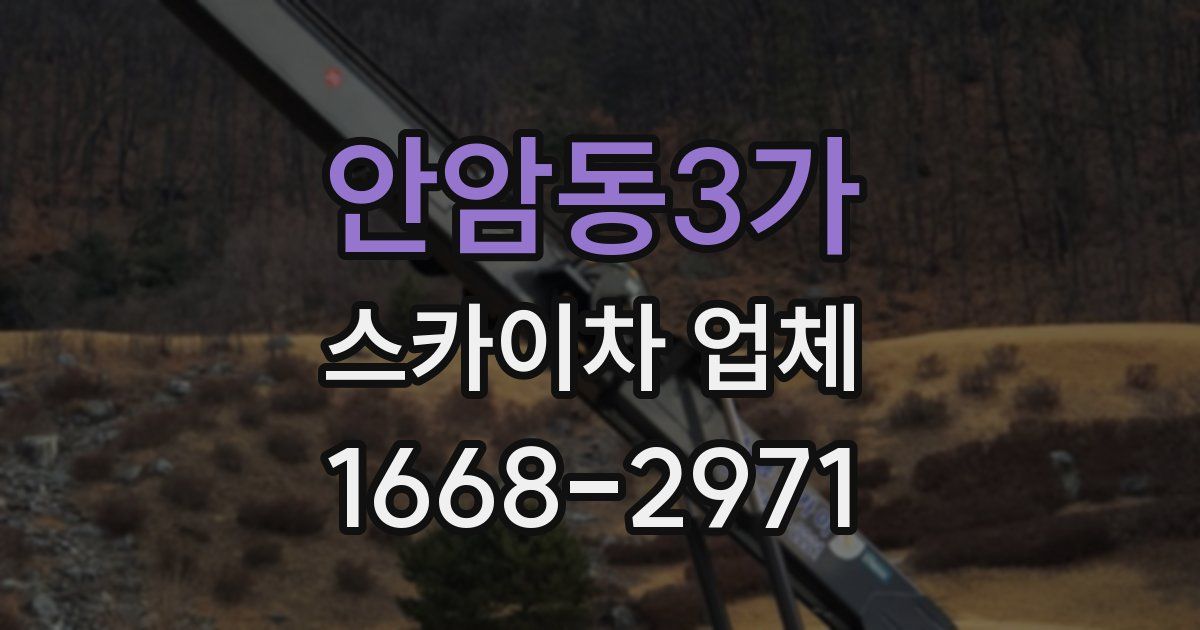 안암동3가 스카이차 업체