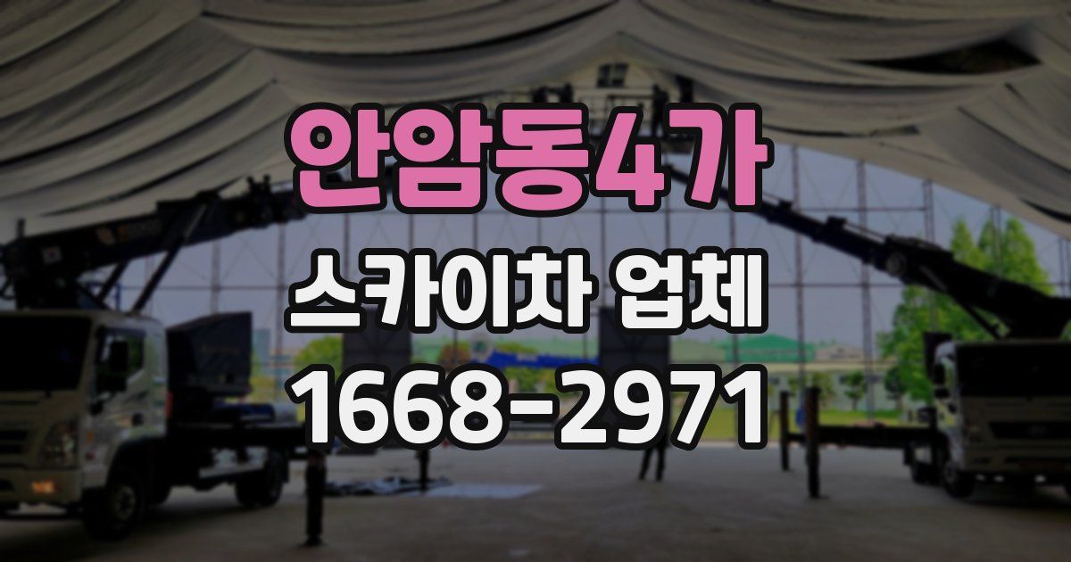 안암동4가 스카이차 업체