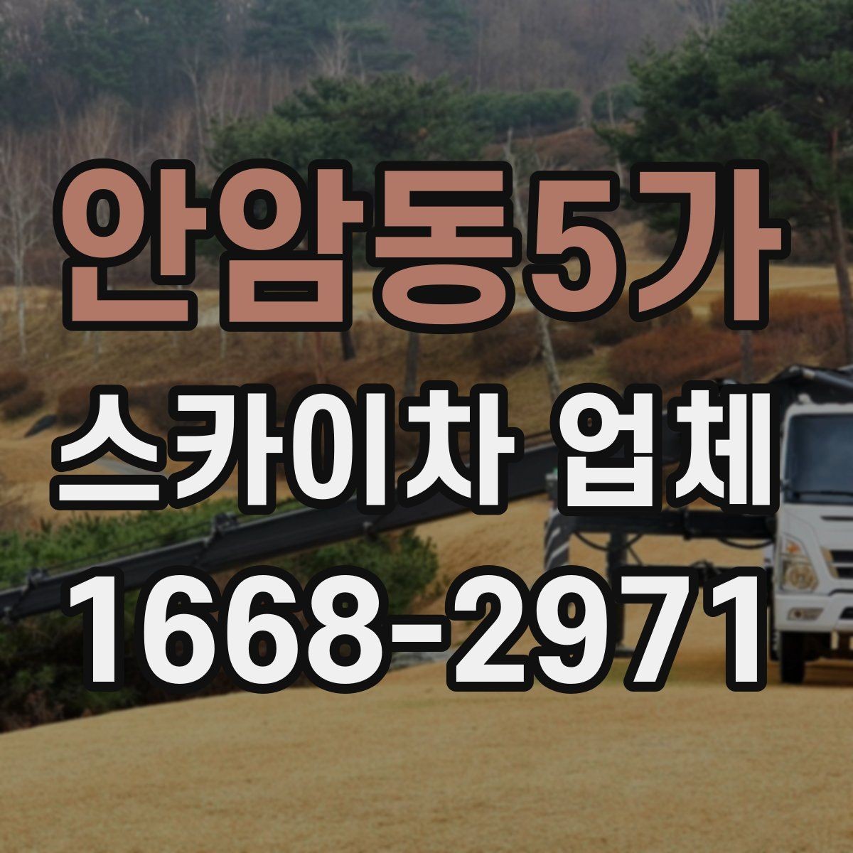안암동5가 스카이차 업체 예약 시기와 일정 조율 방법