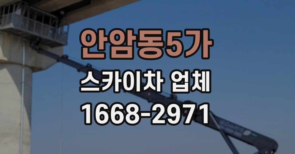 안암동5가 스카이차 업체