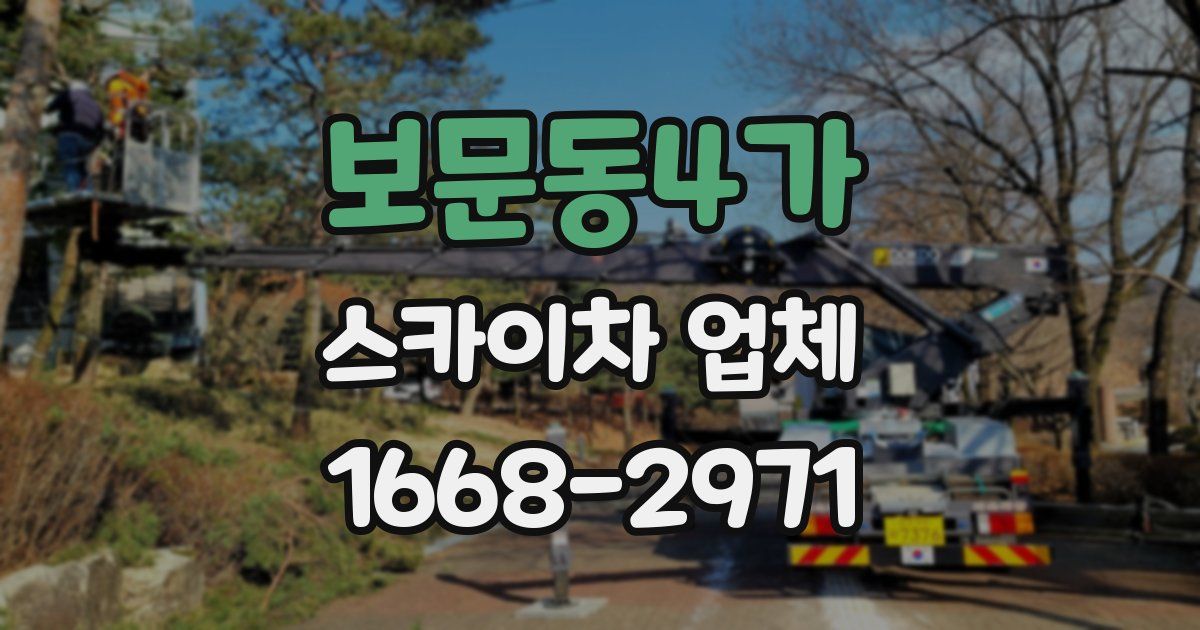 보문동4가 스카이차 업체