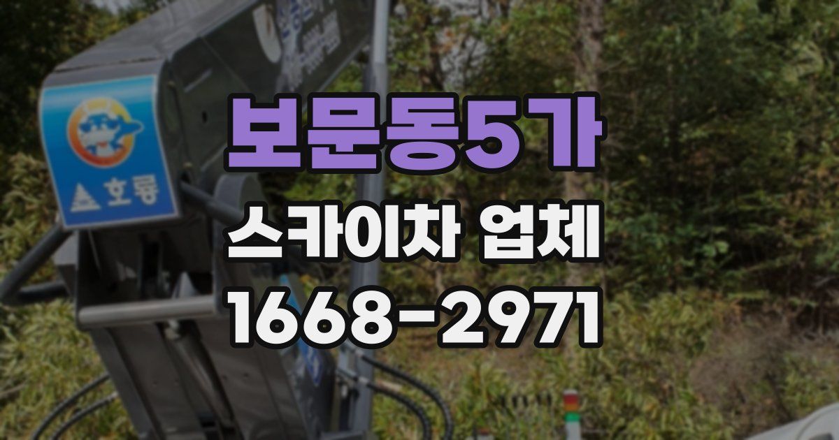 보문동5가 스카이차 업체