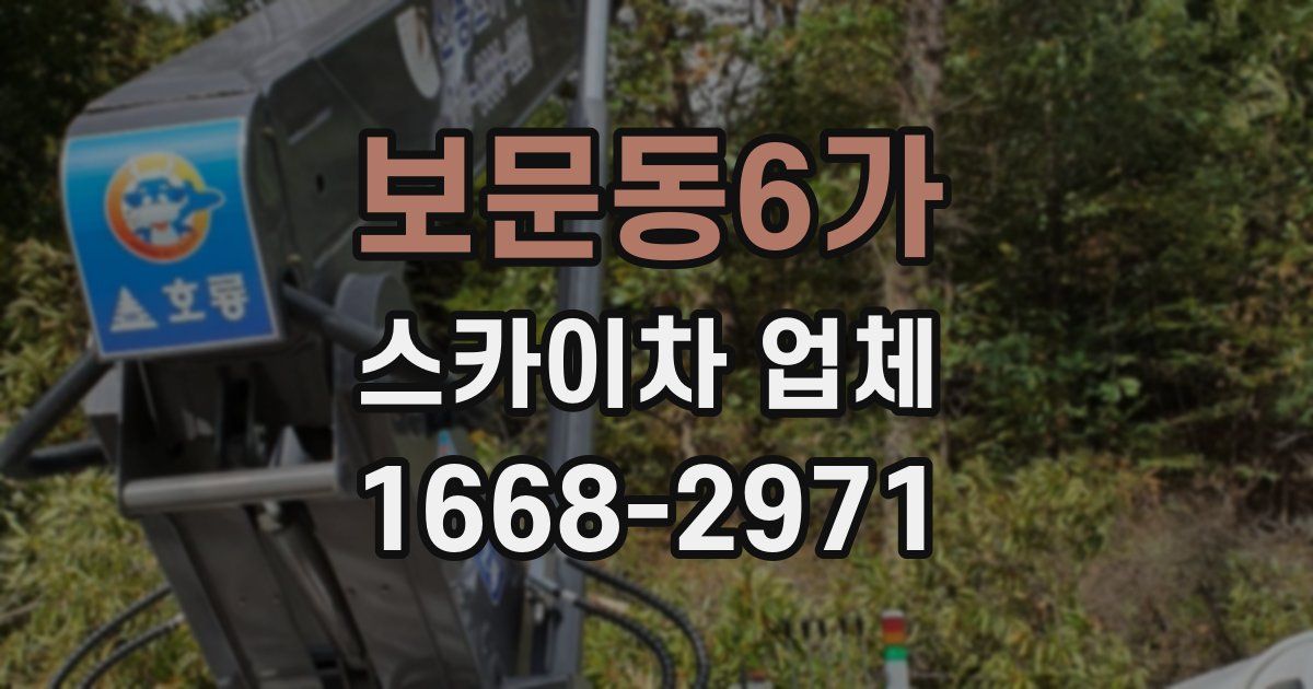 보문동6가 스카이차 업체