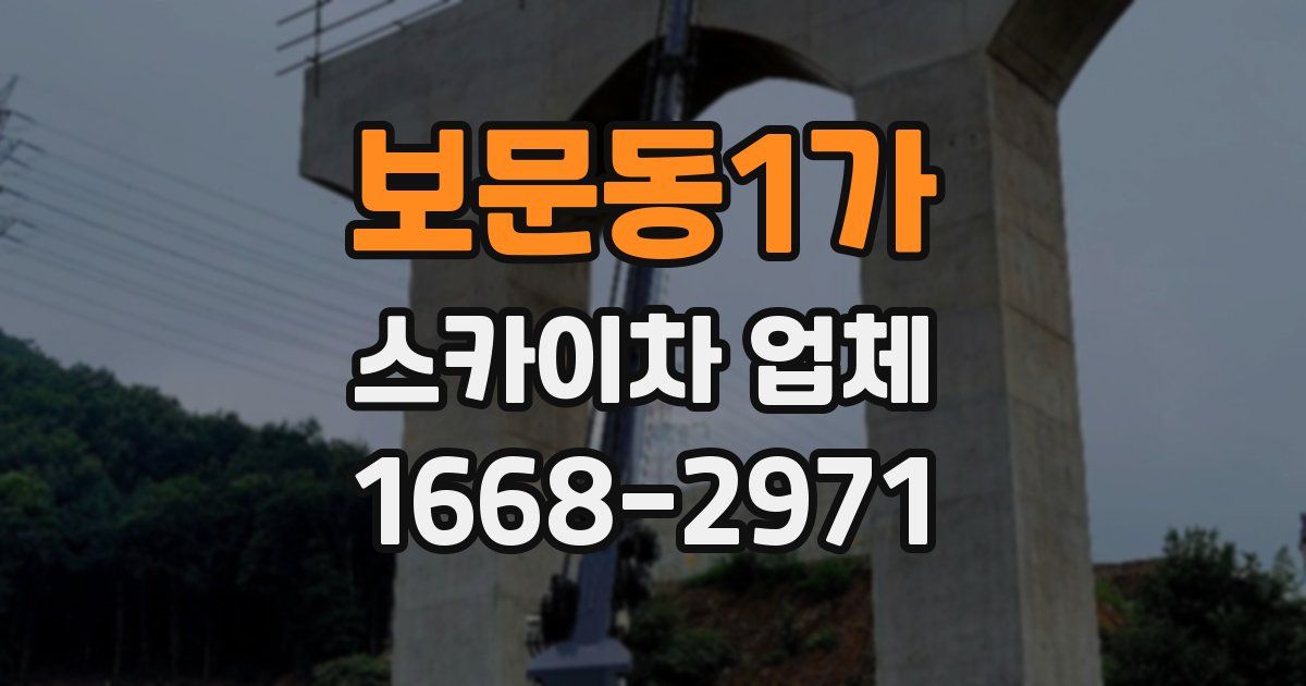 보문동1가 스카이차 업체