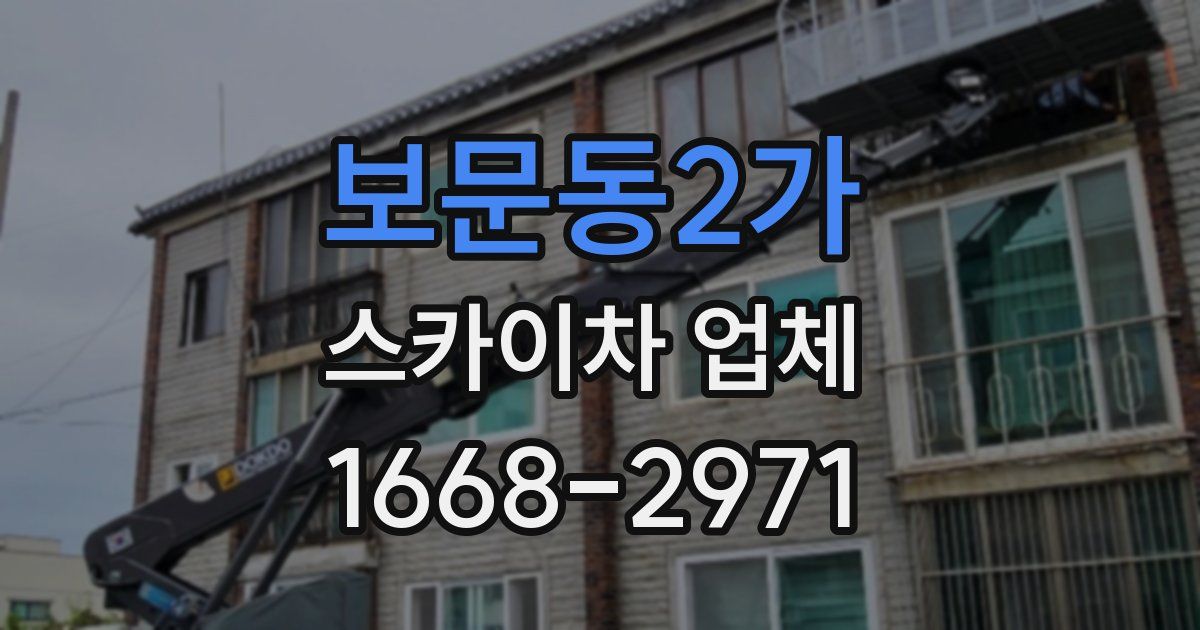 보문동2가 스카이차 업체