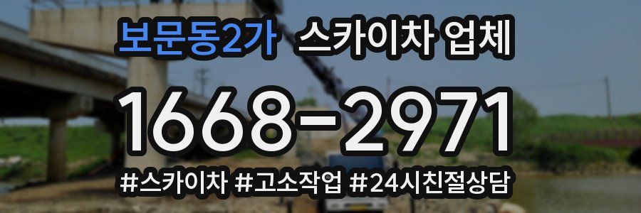 보문동2가 스카이차 업체