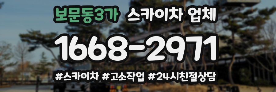 보문동3가 스카이차 업체