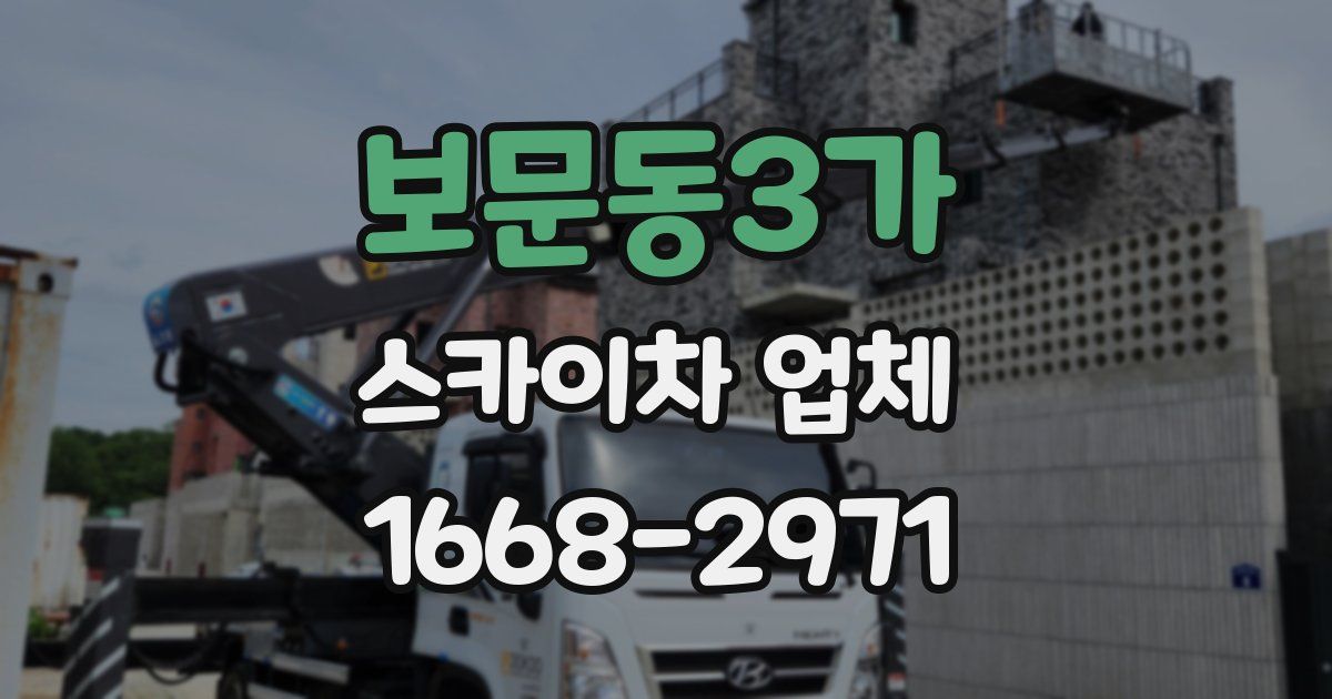 보문동3가 스카이차 업체