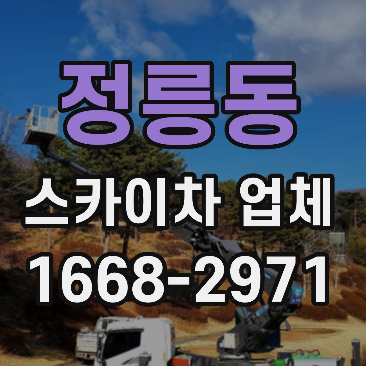 정릉동 스카이차 업체