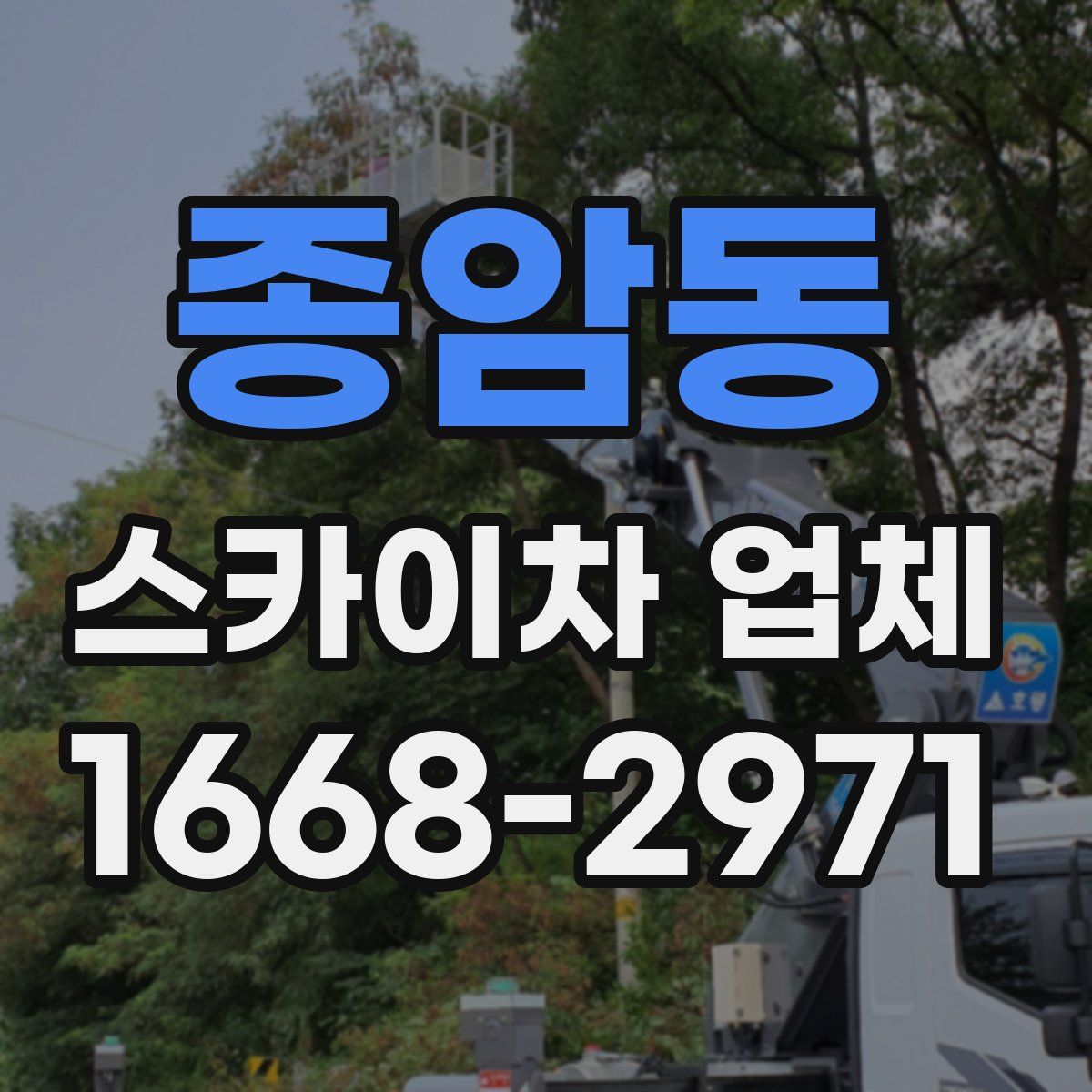 종암동 스카이차 업체