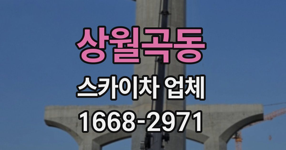 상월곡동 스카이차 업체