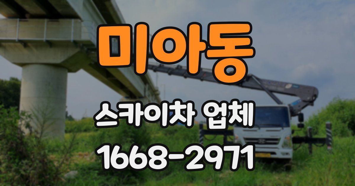 미아동 스카이차 업체