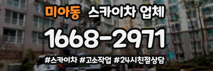 미아동 스카이차 업체