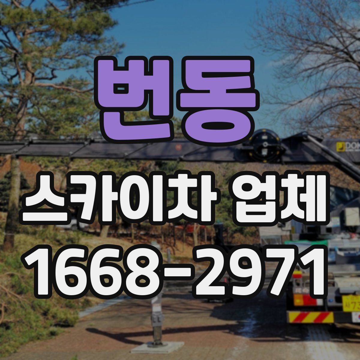 번동 스카이차 업체