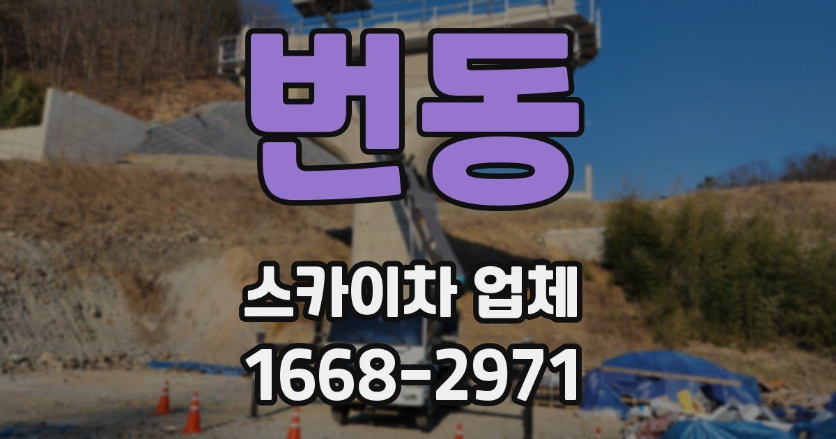 번동 스카이차 업체