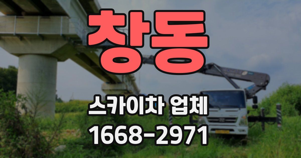 창동 스카이차 업체