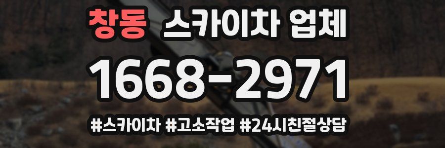 창동 스카이차 업체