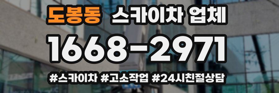 도봉동 스카이차 업체