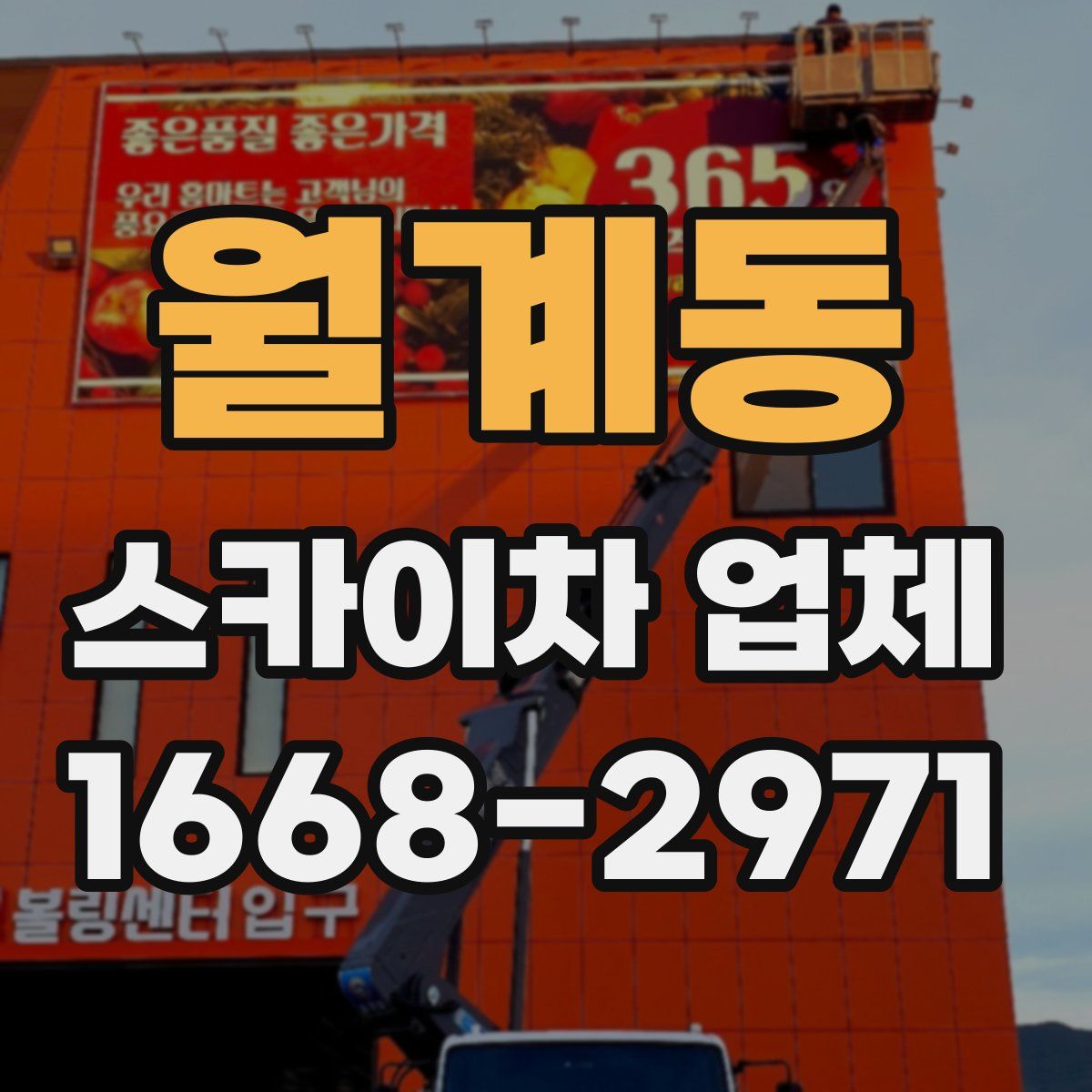 월계동 스카이차 업체