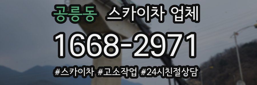 공릉동 스카이차 업체