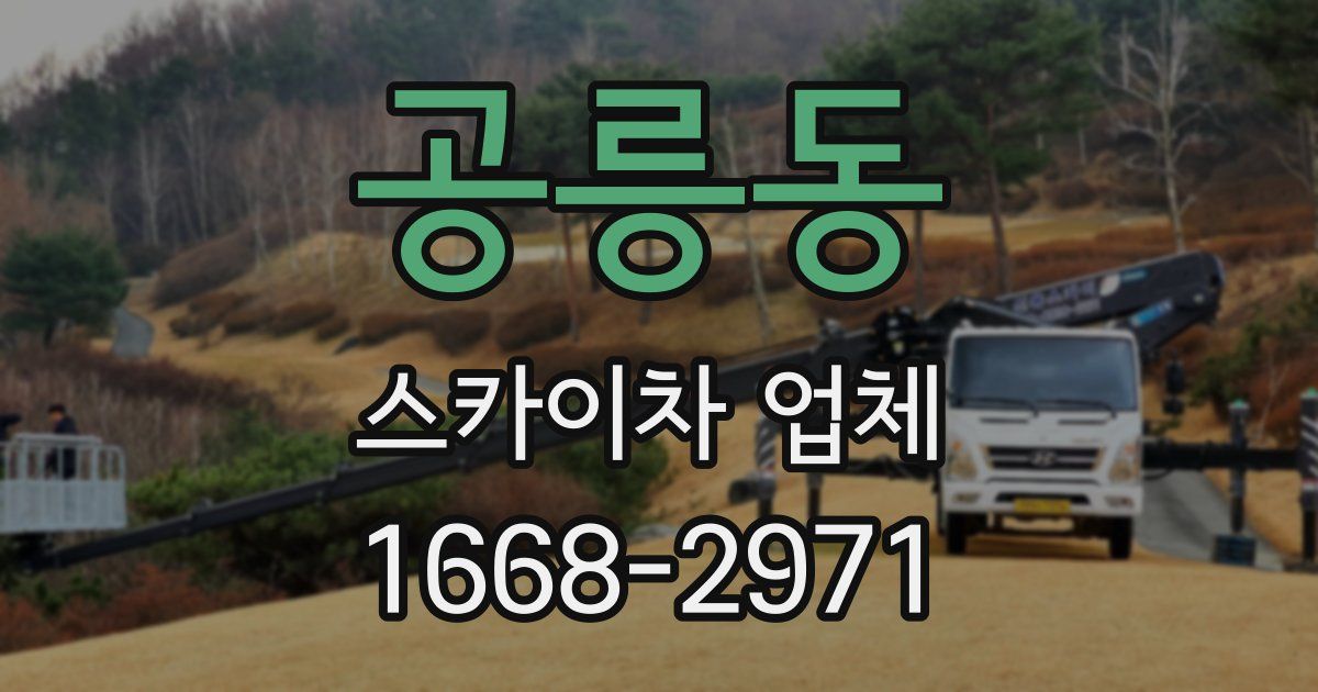 공릉동 스카이차 업체