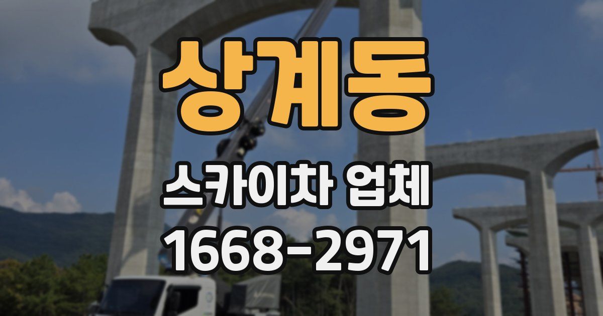 상계동 스카이차 업체