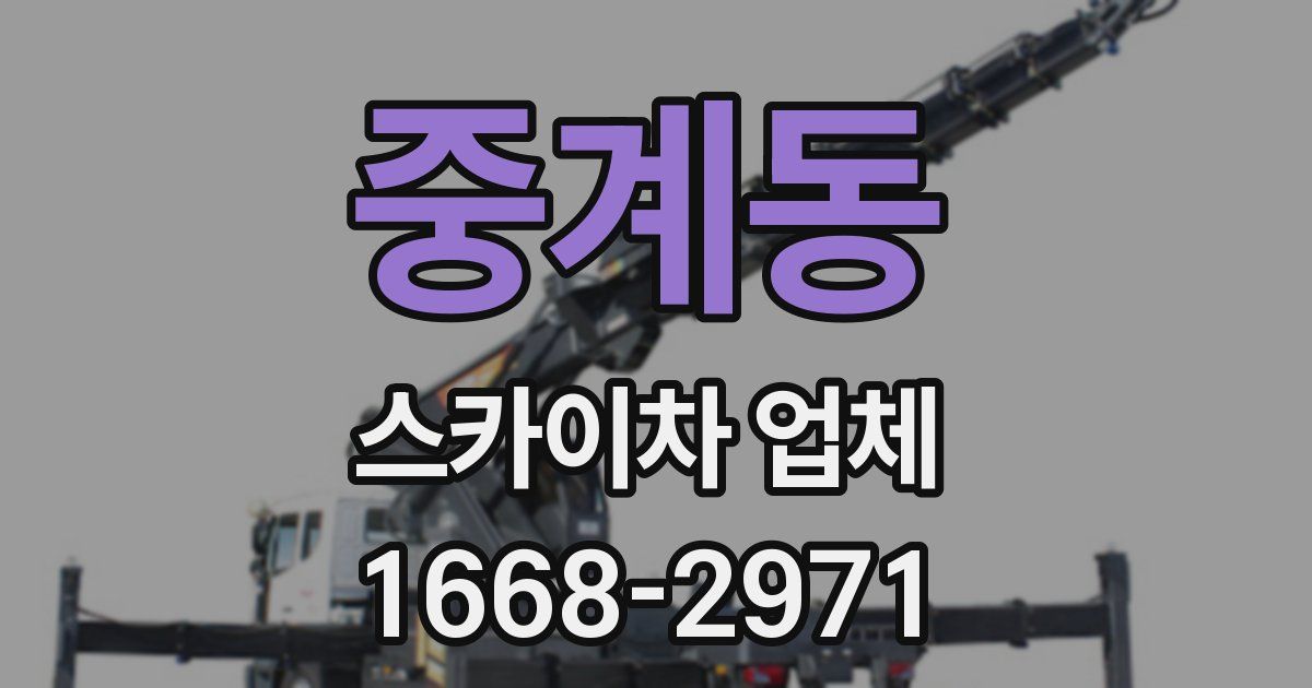 중계동 스카이차 업체