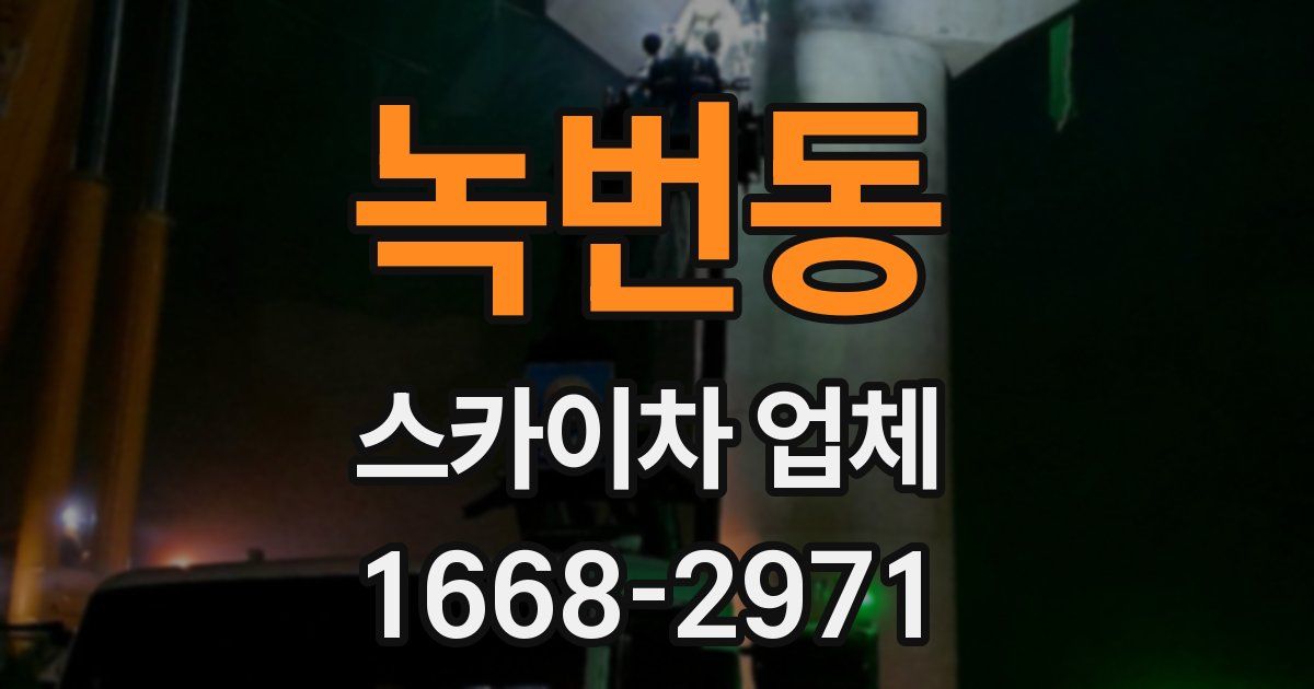 녹번동 스카이차 업체
