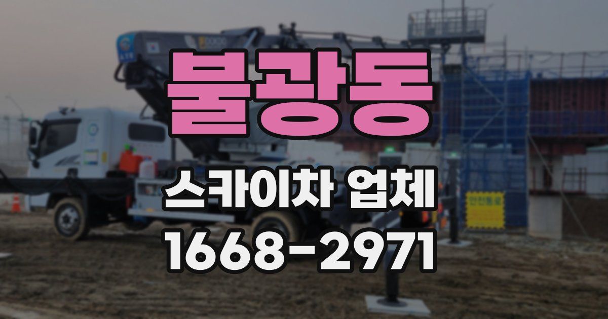 불광동 스카이차 업체