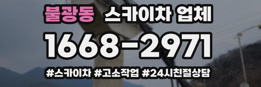 불광동 스카이차 업체