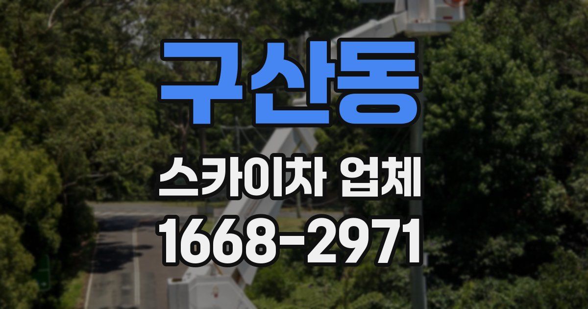 구산동 스카이차 업체