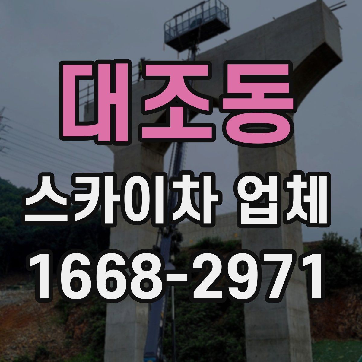 대조동 스카이차 업체 선정 시 놓치기 쉬운 부분