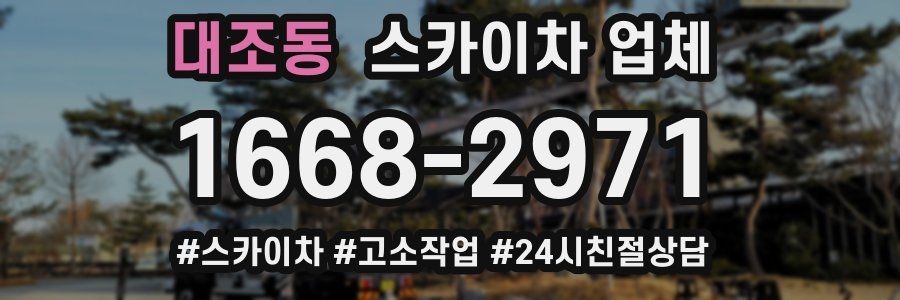 대조동 스카이차 업체