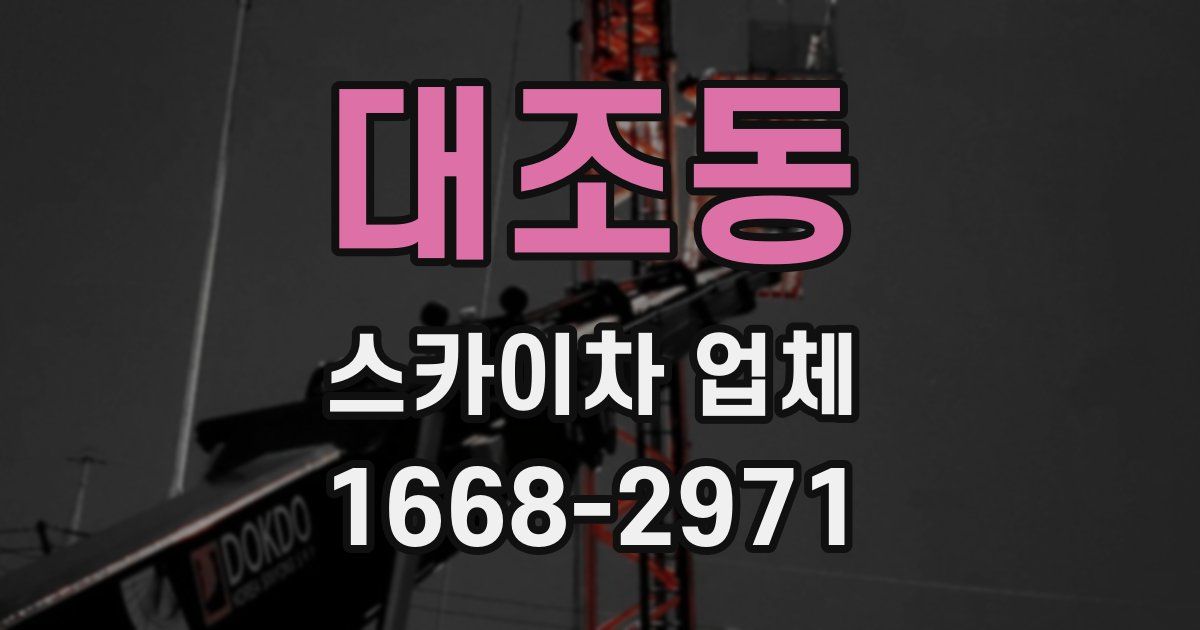 대조동 스카이차 업체