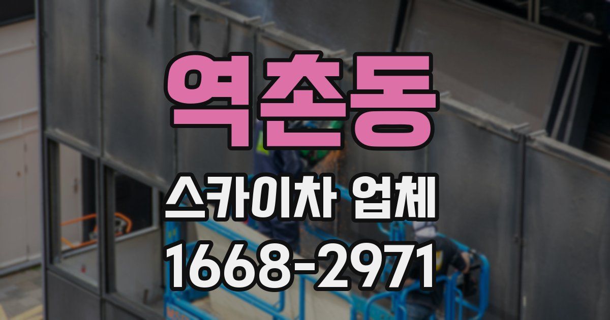 역촌동 스카이차 업체